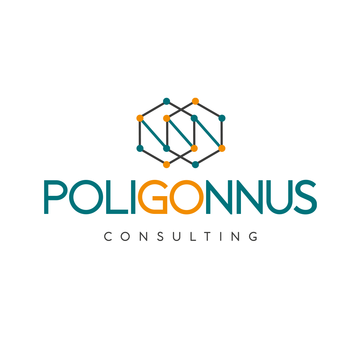 Polígonnus Consulting