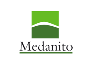 Medanito